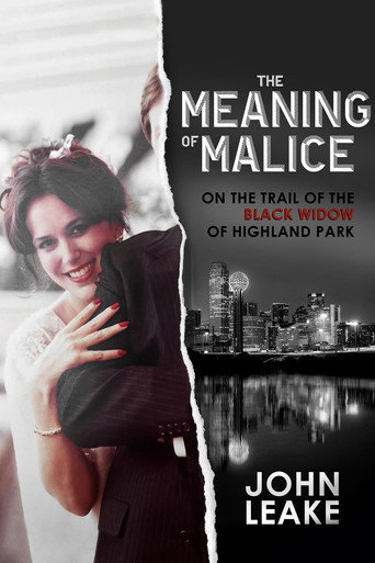 The Meaning of Malice movie poster