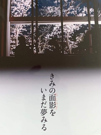 I’m still dreaming of your face movie poster