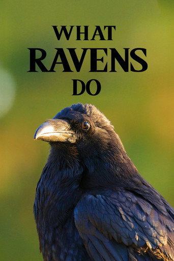 What Ravens Do movie poster