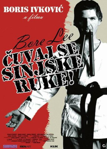 Bore Lee: Beware of the Sinj Hand movie poster
