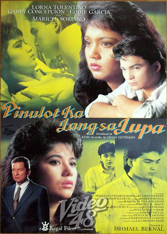 Envy movie poster