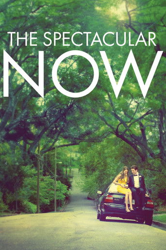The Spectacular Now movie poster