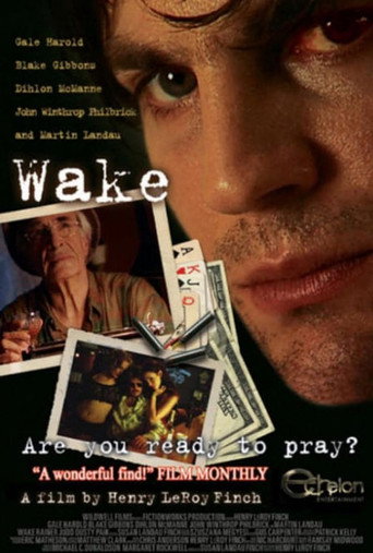 Wake movie poster