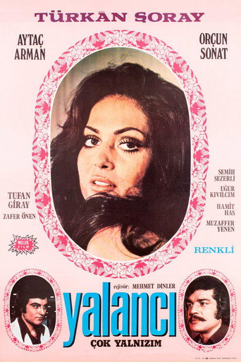 The Liar movie poster