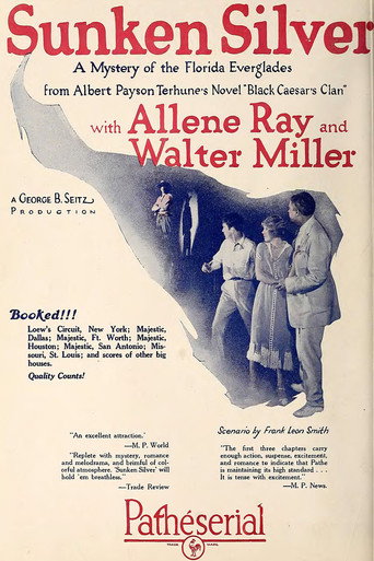 Sunken Silver movie poster