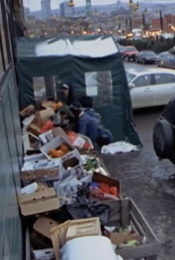 Surfing the Waste: a Musical Documentary about Dumpster Diving movie poster