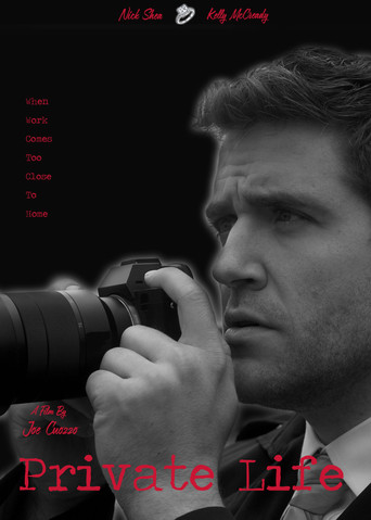 Private Life movie poster