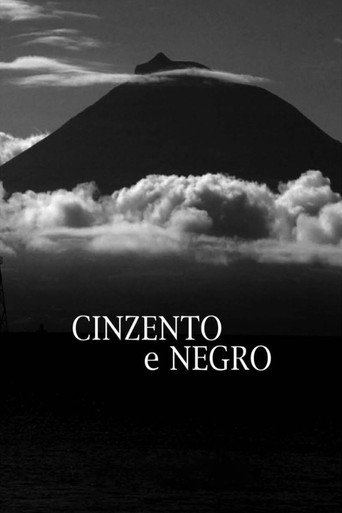Grey and Black movie poster