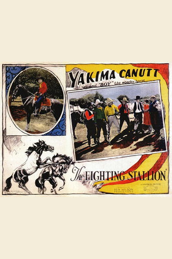 The Fighting Stallion movie poster