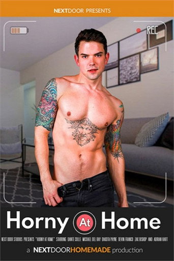 Horny at Home movie poster