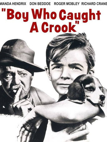 Boy Who Caught a Crook movie poster
