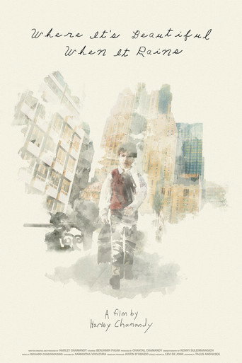 Where It's Beautiful When It Rains movie poster