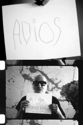 Adios movie poster