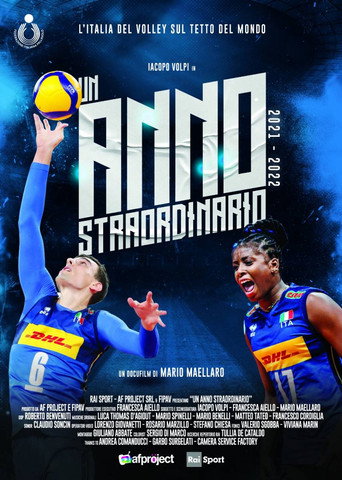Un anno straordinario movie poster