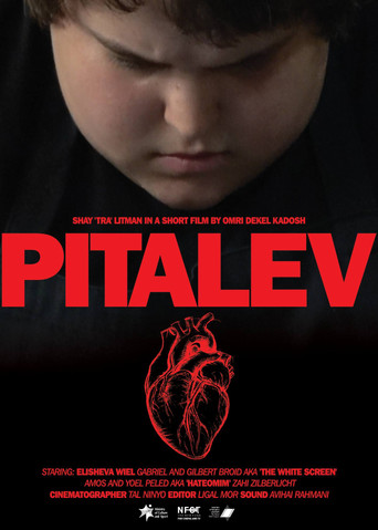 Pitalev movie poster