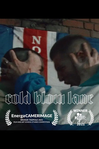 Cold Blow Lane movie poster