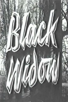 Black Widow movie poster