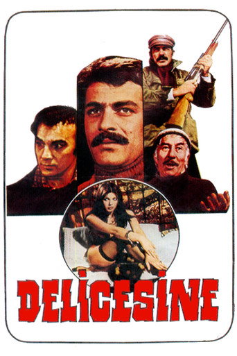 Delicesine movie poster