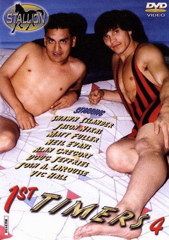 1st Timers 4 movie poster