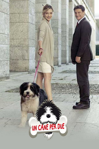 Un cane per due movie poster