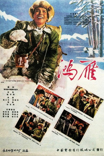 鸿雁 movie poster