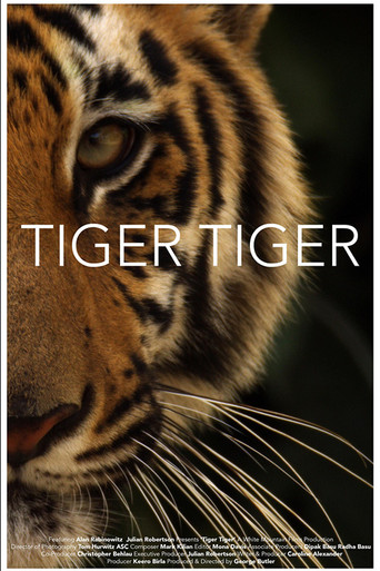 Tiger Tiger movie poster