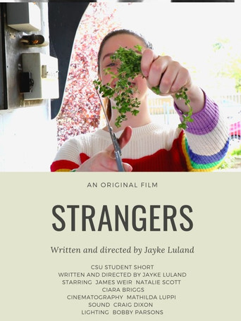 Strangers movie poster
