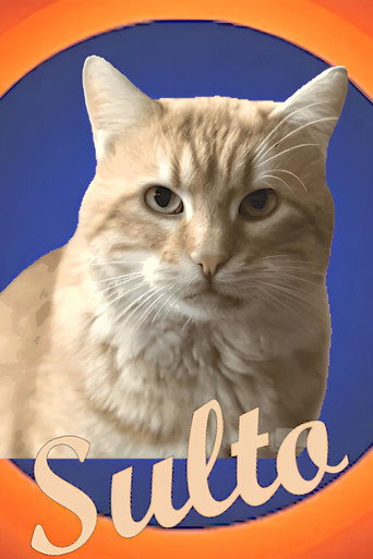 Sulto movie poster
