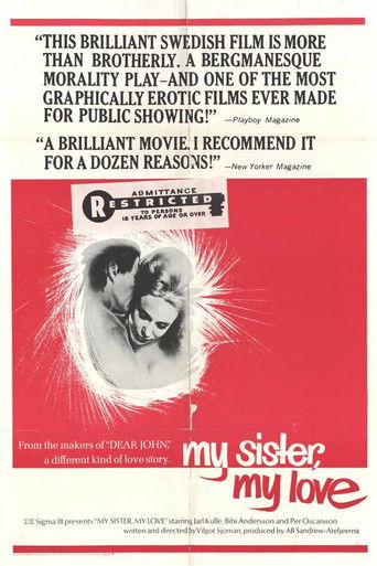 My Sister My Love movie poster