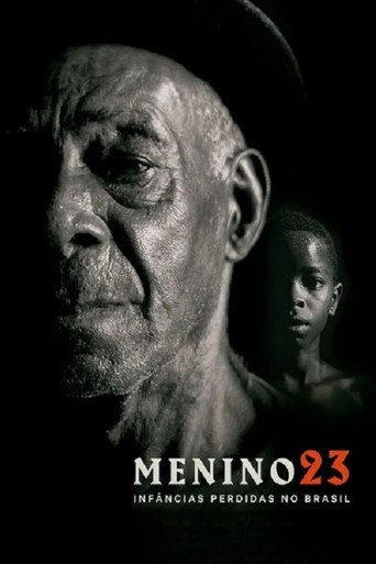 Boy 23: The Forgotten Boys of Brazil movie poster