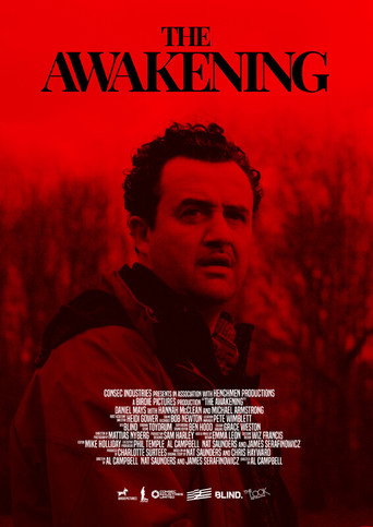 The Awakening movie poster