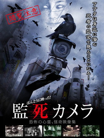 It Really Reflected! Captive Camera movie poster