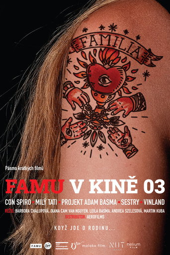 FAMU v kině 03 movie poster
