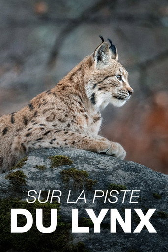 Sur la piste du lynx movie poster