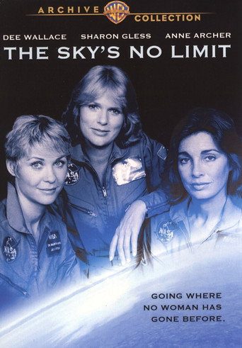 The Sky's No Limit movie poster