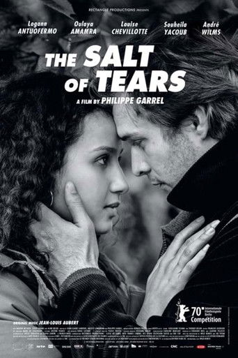 The Salt of Tears movie poster
