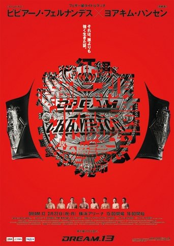 DREAM 13 movie poster