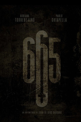 665 movie poster