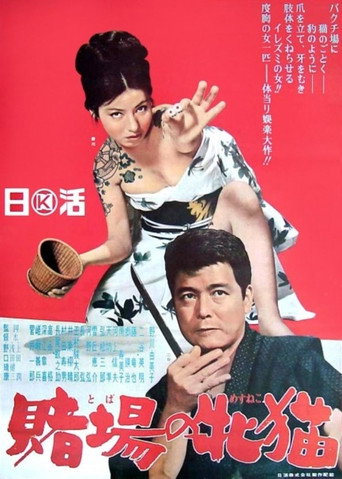 Gambling Kitten movie poster
