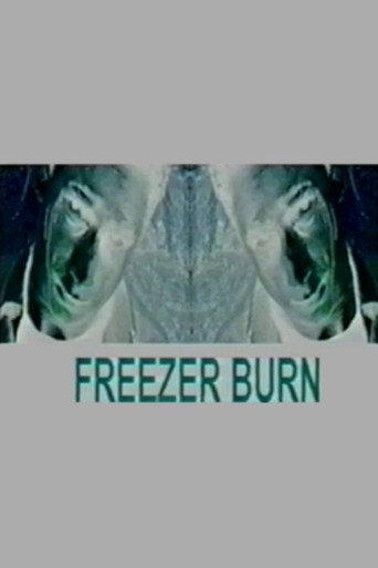Freezer Burn movie poster