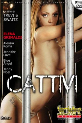 Cattivi movie poster