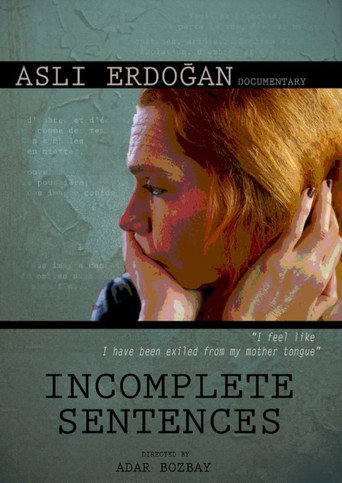 Incomplete Sentences movie poster