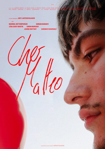 Cher Matteo movie poster