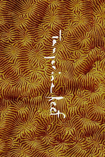 Tangerine Reef movie poster