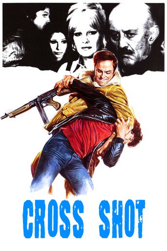 Cross Shot movie poster