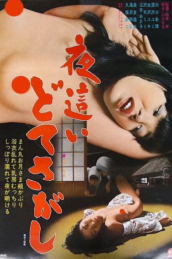 Night Visitors: Sex Hunt movie poster