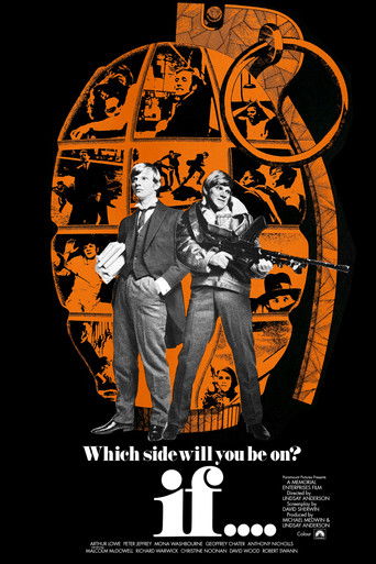 if.... movie poster