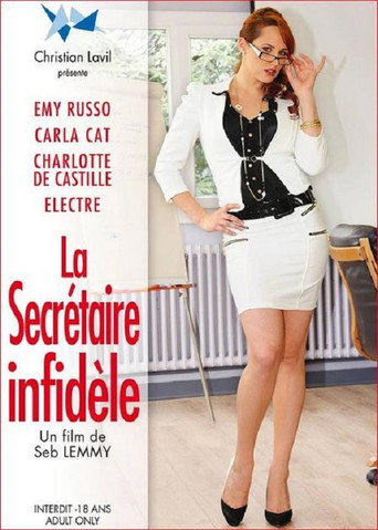 La secrétaire infidèle movie poster