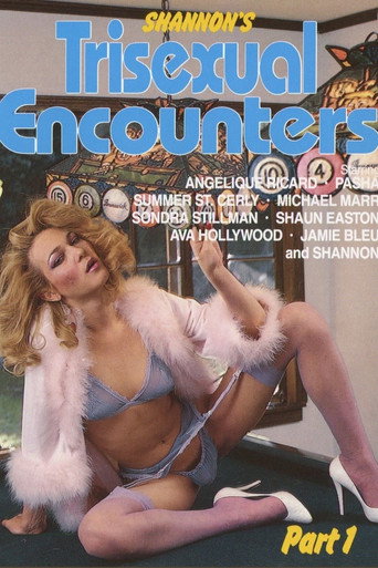 Trisexual Encounters movie poster