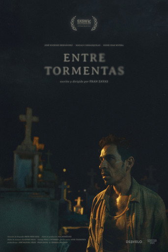 In Between Storms movie poster